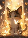 SunKitty≽^•⩊•^≼